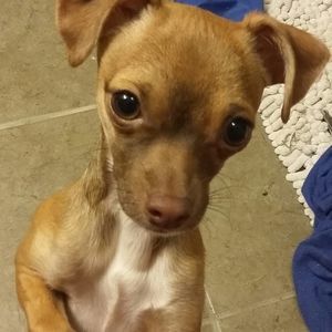 Meet your Posher, Tanya